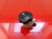 Kupplungsflüssigkeitsbehälter OPEL ANTARA 2.2 CDTi 4x4 0292 24257425