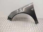 Kotflügel vorne links OPEL INSIGNIA A Sedan (G09) 2.0 CDTI 4x4 (69)