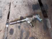Einspritzdüse PEUGEOT 407 SW (6E_) 2.0 HDi 135 0445110252