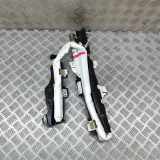 Dach SRS rechts TOYOTA C-HR (_X2_, _H2_) Hybrid 62170-F4060