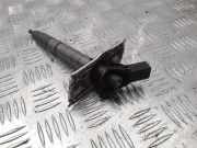 Einspritzdüse AUDI A8 D3 (4E2, 4E8) 3.0 TDI quattro 040507 059130277Q