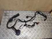 Türverkabelung hinten links LAND ROVER RANGE ROVER SPORT II (L494) 3.0 D 4x4 DK6214633BD