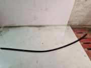 Dachleiste links BMW 5 (F10) 535 d 7238256