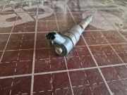 Einspritzdüse PEUGEOT 406 Coupe (8C) 2.2 HDI 0445110062