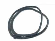 Türdichtung Infiniti Q50 (V37)