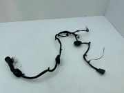 Kabel Tür Kia Niro I (DE) 91650G5081R