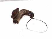 Achsschenkel (ABS) rechts vorne Toyota Aygo (B1) 895420H010