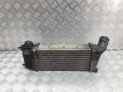 Ladeluftkühler Peugeot 407 Coupe () 9645682880