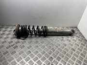 Stoßdämpfer links hinten BMW 5er (F10) 2284047
