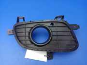 Blende Nebelscheinwerfer Mercedes-Benz A-Klasse (W169) A1698850622