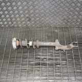Stoßdämpfersatz Vorderachse Audi A4 (8W, B9) 8W0031AK