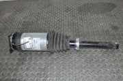 Stoßdämpfer links hinten Tesla Model S (5YJS) 106746101B