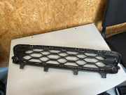 Kühlergrill unten Mini Mini Countryman (R60) 51119477