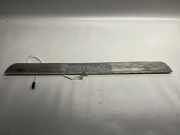 Schwellerinnenverkleidung vorne links MERCEDES-BENZ C Cabrio (A205) AMG C 43 4-matic (205.464) A2056802806