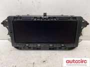 Display BMW X1 (E84) 244814801