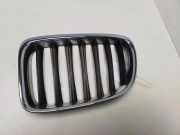 Vorderer oberer Gitter BMW X1 (E84) sDrive 18 i 2993307 2993305