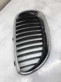 Gitter BMW 5 (E60) 520 d