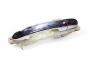 Türaußengriff vorne rechts KIA SORENTO II (XM) 2.2 CRDi 4WD