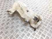 Fensterwaschtank AUDI A4 (8EC, B7) 2.0 TDI 8E0955451AJ