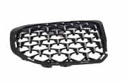 Vorderer oberer Gitter BMW F40 (F40) M 135 i xDrive 7450961