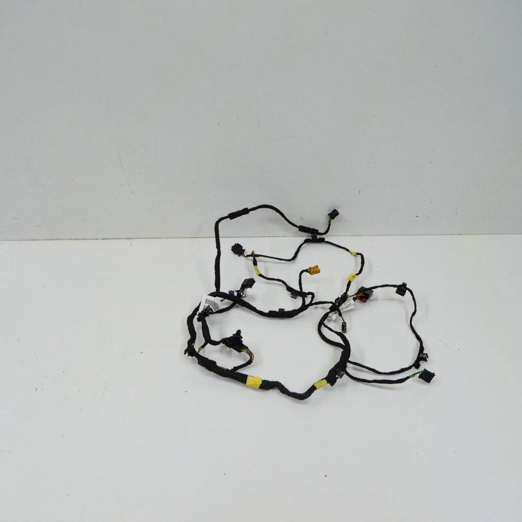 Türverkabelung hinten rechts AUDI A8 D4 (4H_) 3.0 TFSI quattro 4H0971142D 4H0971693Q Bild Türverkabelung hinten rechts AUDI A8 D4 (4H_) 3.0 TFSI quattro 4H0971142D 4H0971693Q