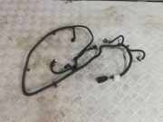 Kabelbaum Peugeot 3008 I () 2005232