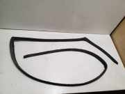 Türgummi rechts hinten Audi Q5 (8R) 03L103925AB