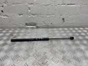 Gasfeder für Motorhaube BMW Z4 (E89) 7285823