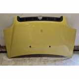 Motorhaube FIAT DOBLO MPV (119_, 223_) 1.2 (223AXA1A)