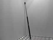 Gasfeder für Motorhaube VW Passat B5.5 Variant (3B6) 3C0823359A