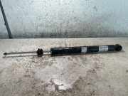 Stoßdämpfer hinten rechts VOLVO C70 II Cabrio D3 315305