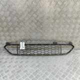 Gitter vorne unten BMW X5 (F15, F85) xDrive 30 d 8054012