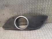 Gitter Grill vorne links MERCEDES-BENZ B (W245) B 200 (245.233) 1698851122