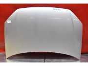Motorhaube VW Polo IV (9N, 9A)