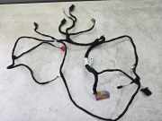 Kabel der vorderen linken Tür AUDI A4 Avant (8ED, B7) 2.0 8E1971035AG