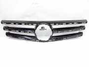 Ziergitter Mercedes-Benz R-Klasse (W251)