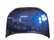 Motorhaube AUDI Q2 (GA) 1.6 TDI
