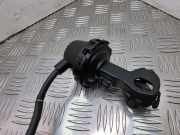 Ansaugkrümmer VW Eos (1F)