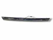 Kennzeichenbeleuchtung FORD FOCUS II Cabrio 2.0 TDCi 6N41L43525AE