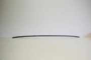 Dachleiste links AUDI A4 (8EC, B7) 2.7 TDI