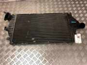 Ladeluftkühler RENAULT LAGUNA II (BG0/1_) 2.2 dCi (BG0F) 856390N