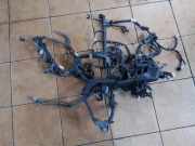 Motor Kabelbaum TOYOTA C-HR (_X1_) 1.8 Hybrid (ZYX10_)