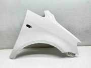 Kotflügel vorne rechts VW CADDY III Furgon (2KA, 2KH, 2CA, 2CH) 2.0 TDI 16V 1T0821156