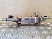 Abgaskühler Seat Alhambra I (7V) 038131513C