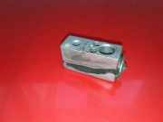 A/C Conditioner Expansion Valve RENAULT MASTER III Furgon (FV) 2.3 dCi 145 [RWD] (FV0E, FV0F, FV0J) 52358590 A31101500