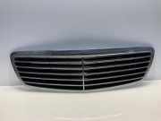 Gitter Grill vorne links MERCEDES-BENZ E (W211) E 220 CDI (211.006) 2118800583