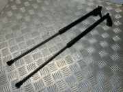 Heckklappe Gasdruckfeder links NISSAN JUKE (F15) 1.5 dCi 90451BV90A