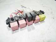 Sicherungskasten Renault Kangoo I (KC)