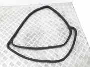 Türdichtungsgummi hinten links MERCEDES-BENZ E (W124) E 250 D (124.126, 124.129)
