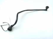 Schlauch Kühlung AUDI A4 (8W2, B9) S4 quattro 8W0121081 8W0121081AK